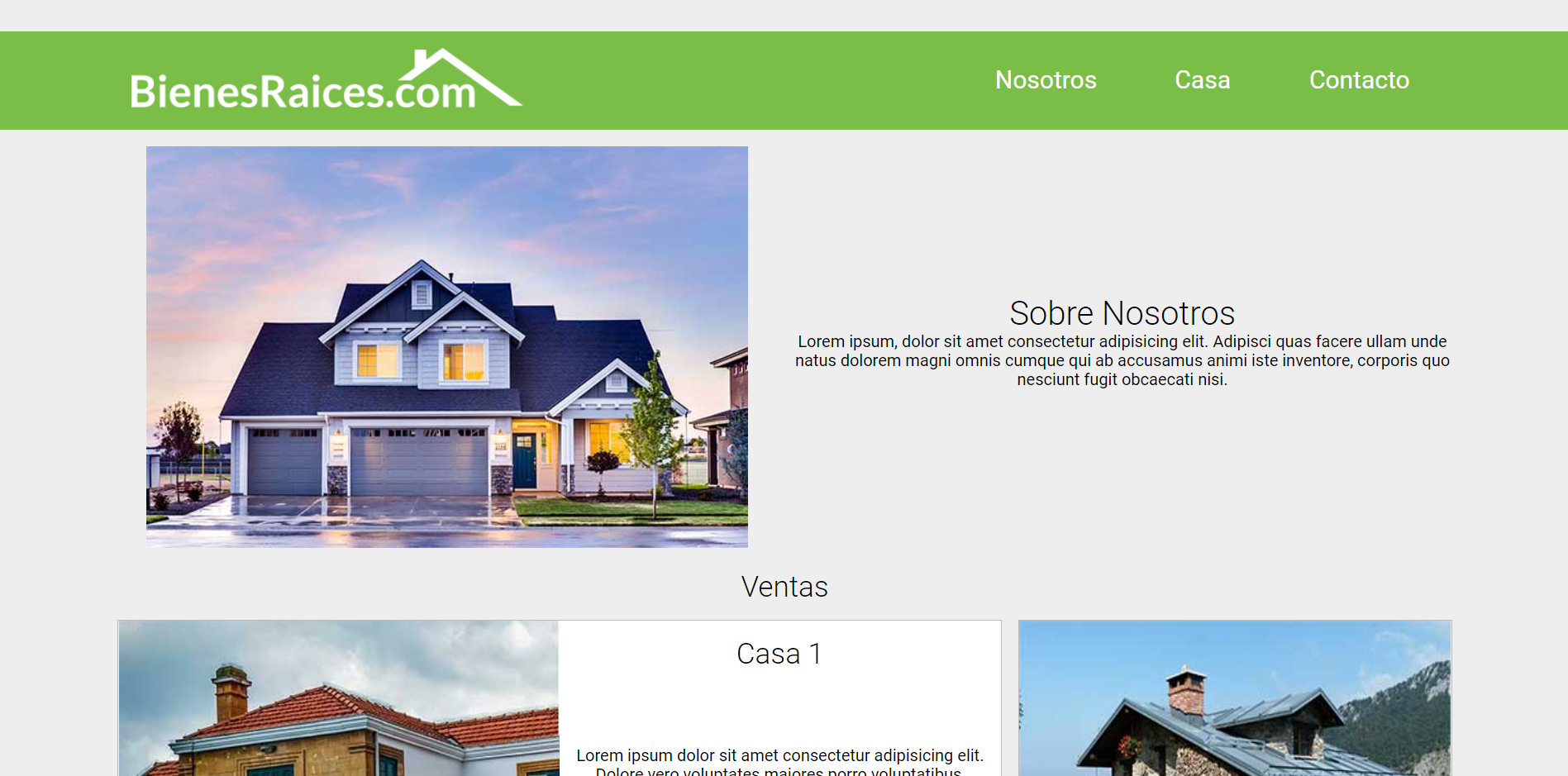 Proyecto Bienes Raices.com